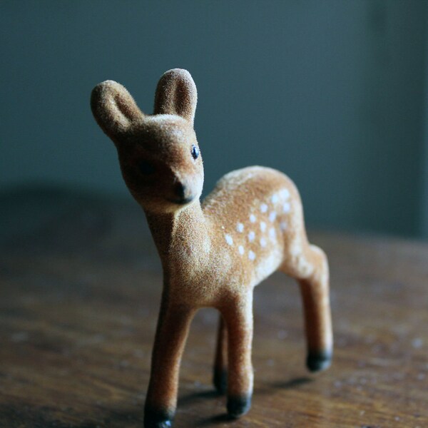 Little flocked Fawn