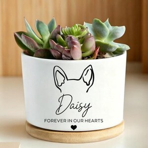 May include: A white ceramic cylindrical planter sitting on a circular wooden base, containing a green and purple succulent plant. The planter features a black line drawing of animal ears, the name Daisy, and the text FOREVER IN OUR HEARTS.