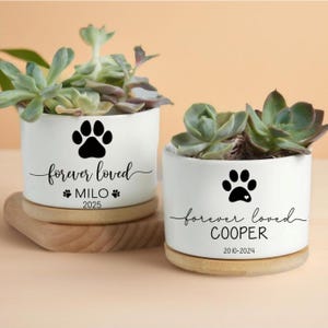 Personalized Dog Memorial Gift Planter, Paw Print Plant Pot, Dog Memorial Plant, Dog Remembrance, Cat Memorial Sympathy, Pet Memorial Gifts
