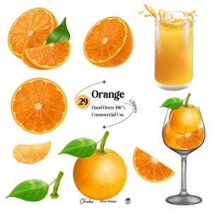 Orange Watercolor Clip Art: Citrus Fruit PNG Images (Commercial Use)