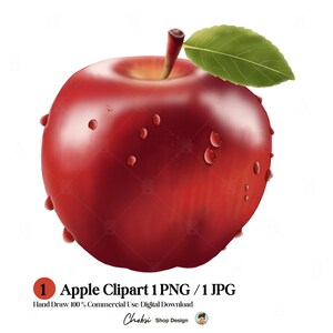Handgezeichneter roter Apfel Clipart, realistische Frucht Illustration (digitaler Download)