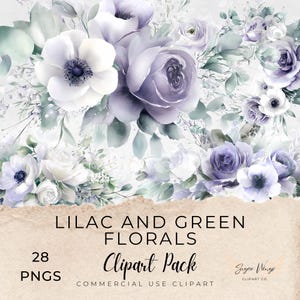 Clipart floral en lila y verde salvia, clipart para uso comercial, PNG transparentes, acuarelas florales, pétalos de flores botánicas