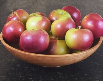 Large cherry serving bowl food safe