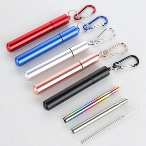 Op de afbeelding: Vijf cilindrische metalen kokers in rood, blauw, zilver, roségoud en zwart, elk met een bijpassende karabijnhaak. Daaronder liggen een regenboogkleurig inklapbaar rietje, een zilverkleurig inklapbaar rietje en een dunne metalen reinigingsborstel.