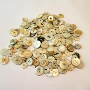 May include: A large collection of white and cream-colored buttons made of mother-of-pearl. The buttons are various sizes and shapes, with some having two holes and others having four holes.