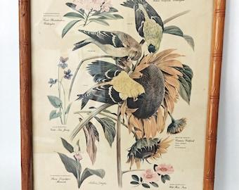 Vintage framed bird and floral print by Arthur Singer #6 Common Goldfinch