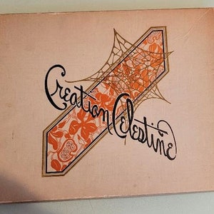 Vintage empty shirt box Creation Celestine with spider web