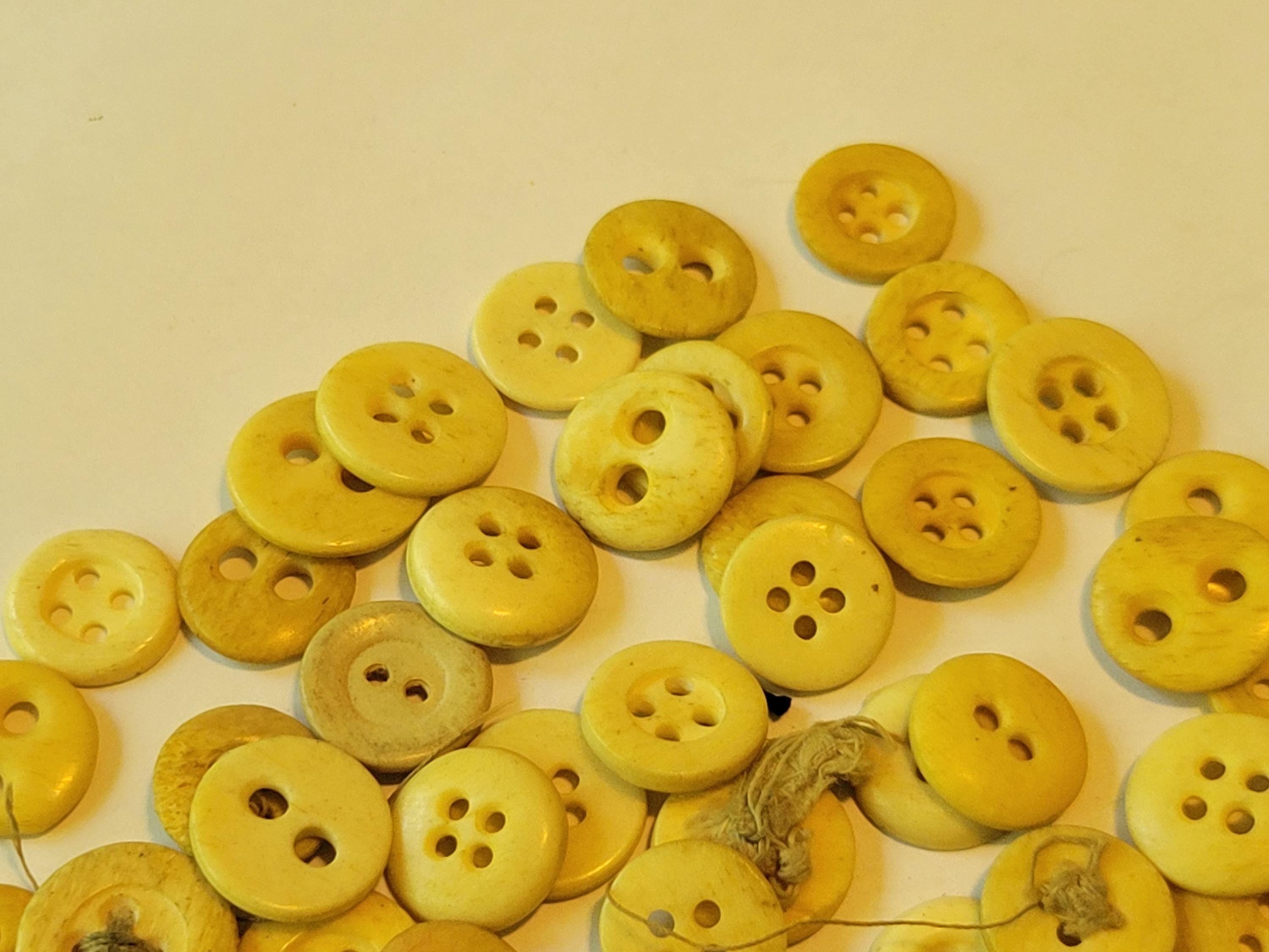Large Lot of Antique Bone Buttons - Etsy