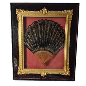 May include: A black and gold lace fan is framed in a dark wood frame with a gold inner frame. The fan is displayed on a red velvet background.