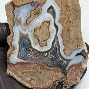 Puede incluir: Una losa de ágata pulida que presenta intrincadas bandas concéntricas en tonos blanco, gris y azul translúcido, intercaladas con inclusiones minerales terrosas en beige y marrón. La piedra muestra un patrón complejo e irregular de cuarzo.