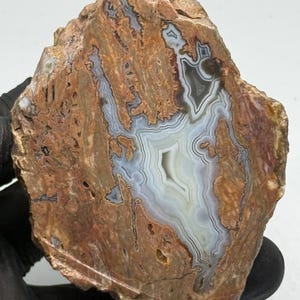 Puede incluir: Una losa de ágata pulida que presenta una formación de geoda central con bandas blancas y gris claro, rodeada de inclusiones minerales en tonos tierra, marrón, bronceado y óxido, con un borde exterior irregular y una cara plana.