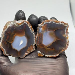 May include: Two polished agate slices featuring a translucent, light blue center surrounded by deep brown and amber-colored banding. The edges of the stones are rough, textured, and display a natural, earthy brown crust with crystalline details.