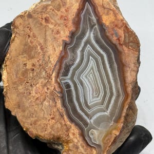 Op de afbeelding: Een gepolijste agaatplak met een centrale geodeholte met concentrische witte en doorschijnend grijze banden. De omringende rotsmatrix vertoont een getextureerde, aardse bruine en roodbruine buitenkant met zichtbare scheuren en minerale insluitingen.