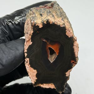 Könnte beinhalten: Ein Querschnitt eines polierten Achatsteins. Der Stein hat eine dunkel schwarze Mitte mit konzentrischen Bändern, einen leuchtend orangefarbenen inneren Kern und einen rauen, rotbraunen äußeren Rand. Der Stein wird von einer behandschuhten Hand gehalten.