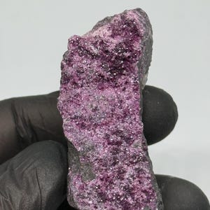 Puede incluir: Primer plano de un espécimen mineral en bruto sin cortar. La piedra tiene una base gris oscuro con una superficie cristalina púrpura vibrante y brillante. El mineral es sostenido por una mano enguantada sobre un fondo blanco.