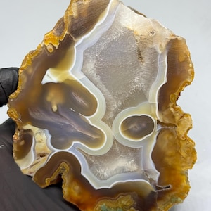 Op de afbeelding: Een gepolijste agaatplak met doorschijnende bruine, beige en witte banden en een centrale kristallijne geodeformatie. De steen vertoont organische, wervelende patronen en een ruwe, natuurlijke buitenrand met warme amberkleurige tinten.