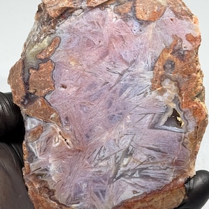 May include: A polished slab of agate featuring a central lavender and light purple crystalline structure with a starburst pattern of needle-like inclusions, surrounded by a thick, rough, earthy brown and tan outer crust with small cavities.