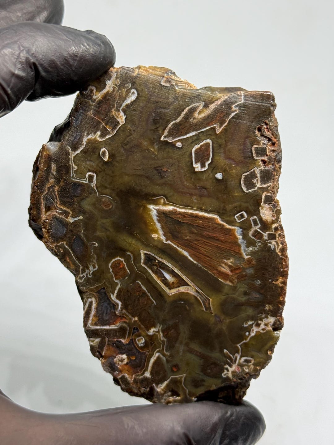Raw Gate 202.4g - Rare Raw Agate, Natural Stick Agate Specimen With Unique Tube ...