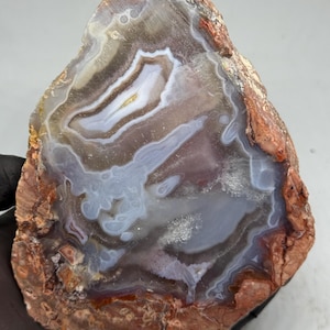 May include: A polished agate slice featuring concentric bands of translucent light blue, white, and grey minerals surrounded by a rough, textured, reddish-brown outer crust. The interior displays intricate crystalline patterns and swirling formations.