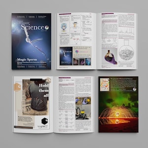Volume 4 – The Journal of Immaterial Science Volume