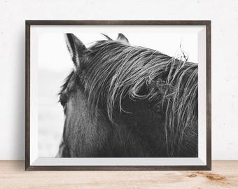 Physical Photo Print, Horse Photography in Black and White, Rustic Horse