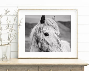 Appaloosa Horse Close Up Photograph, Black and White Print, Physical
