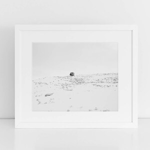 Winter Print, Tree in Snow Photograph, Black and White Winter Landscape, Physical Print