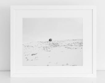 Winter Print, Tree in Snow Photograph, Black and White Winter Landscape, Physical Print