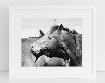 Black and White Horse Photography, Rugged Western Horses, Horse Art, Physical Print
