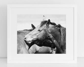 Black and White Horse Photography, Rugged Western Horses, Horse Art, Physical Print