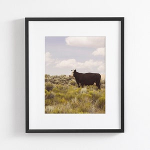 Modern Country Art Print, Cow Photograph, Western Wall Art, Original Photography image 1