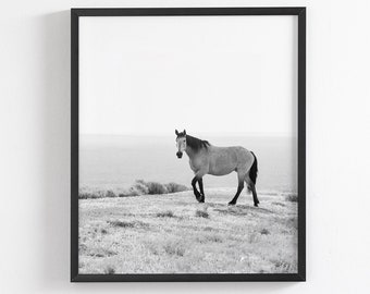 Black and White Vertical Horse Stallion Photo, Wild Horse Picture, Buckskin Horse Print