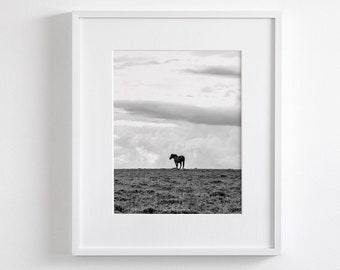 Domain, Black Silhouetted Horse in Open Landscape, Wild Horse Photograph, Vertical Horse Picture