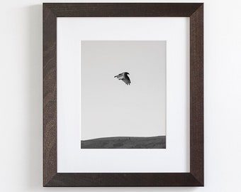 Flying Bird Photograph in Black and White, Vulture Photograph, Minimalist Nature Print, Black and White Photography