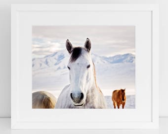Rustic Horse Photograph, Winter art in Color, Physical Horse Print, Snow Wall Art