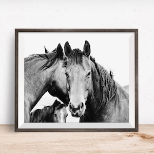 Black and White Equestrian Photography, Strong Western Horses, Western photography, Physical Equine Print