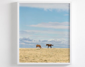 Blue Sky Wild Horse Photograph, Horses in Landscape, Western Nature Photography