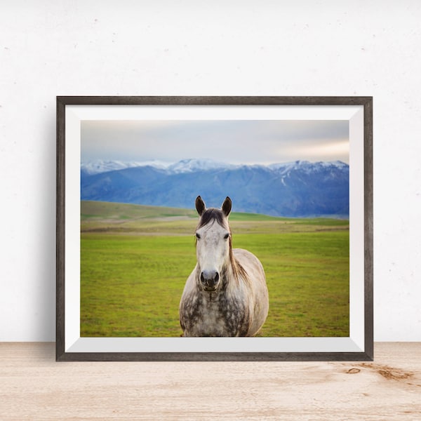 Colorful Horse Photograph, Western Horse in the Mountains, Physical Horse Print