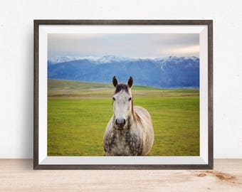 Colorful Horse Photograph, Western Horse in the Mountains, Physical Horse Print