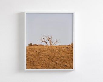 Modern Landscape, Minimalistic Nature Photograph, Orange and Warm Vertical Print