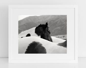 Pintar Fotografía de Caballo en blanco y negro, Fotografía de Caballo Occidental, Impresión Física