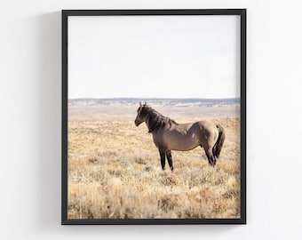 Sand Wash Stallion, Wild Horse Photograph in Neutral Color, Vertical Animal Print