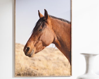 栗毛馬の写真、縦長の動物の壁アート、クローズアップの馬のプリント