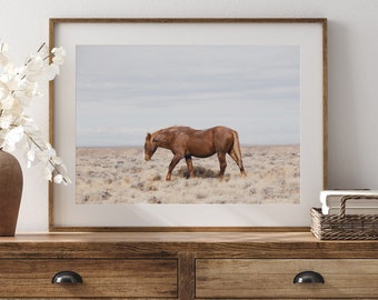 Wild Stallion Print, Wild Horses Photography, Western Artwork, Old Boy