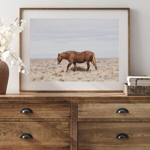 Wild Stallion Print, Wild Horses Photography, Western Artwork, Old Boy