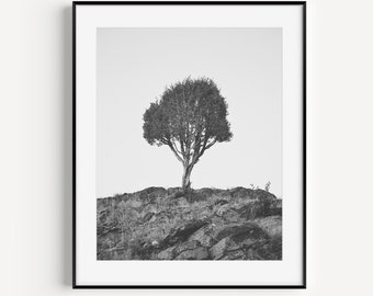 Tree Photograph in Black and White, Nature Photography, Vertical Print