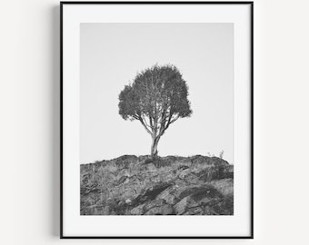 Tree Photograph in Black and White, Nature Photography, Vertical Print