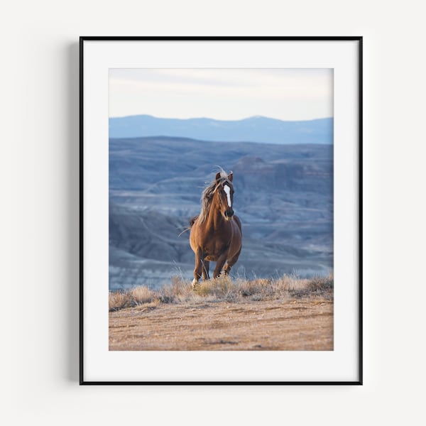 Wild Horse Running Photography in Color, Wester Wall Art, Horse Prints