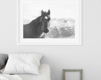 Black Horse Photograph- Western Horse Print- Equestrian Home Decor