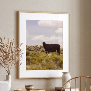 Modern Country Art Print, Cow Photograph, Western Wall Art, Original Photography image 2